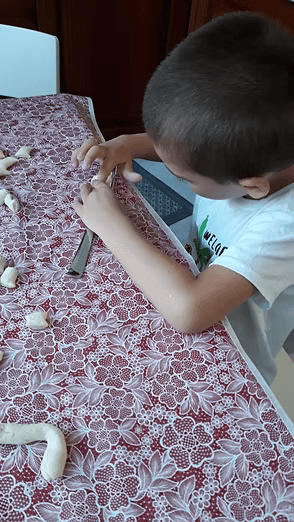 centro maia alimentiamo la scoperta